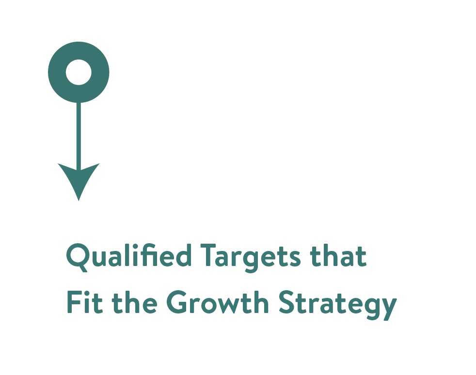 Qualified targets that fit the growth strategy